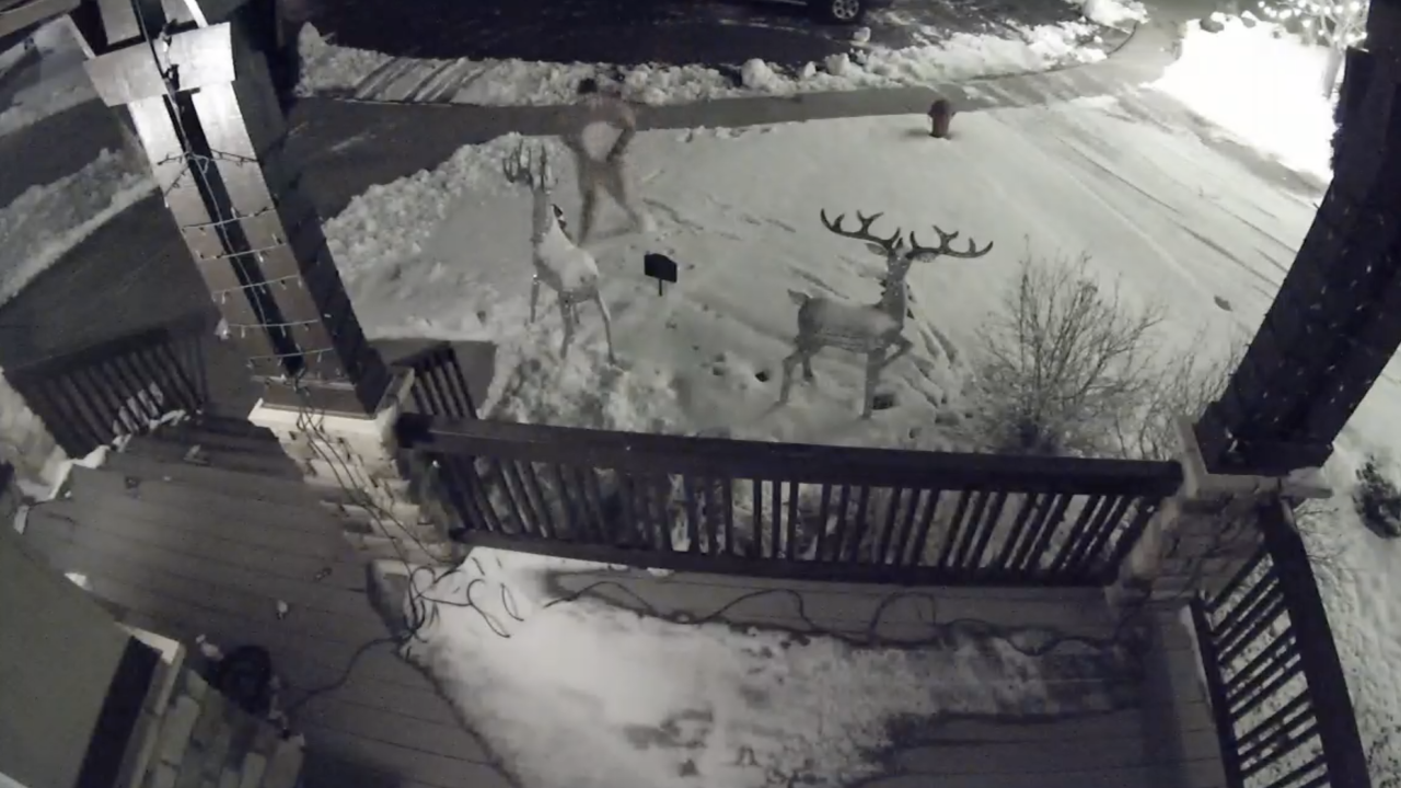 Christmas decorations vandalized on several Castle Pines homes